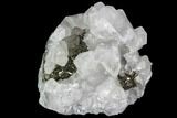 Calcite and Pyrite Association - Fluorescent #92280-1